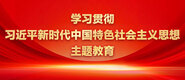 嘿嘿视频白虎内射学习贯彻习近平新时代中国特色社会主义思想主题教育_fororder_ad-371X160(2)